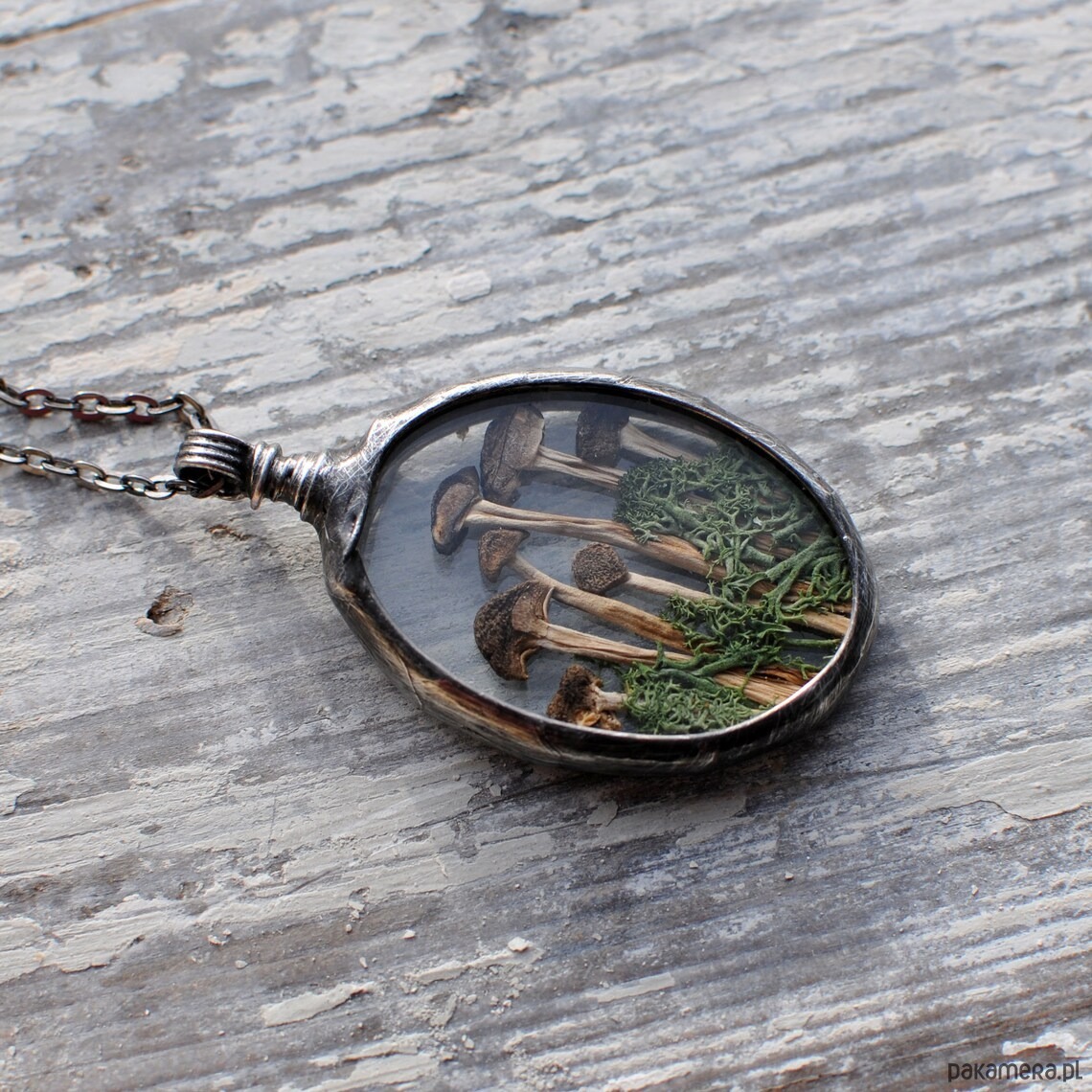 wisiory Las i Grzybki 1