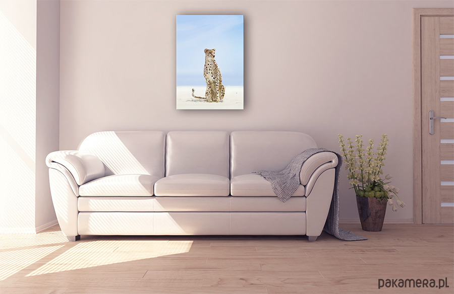 obrazy Obraz - Gepard - wydruk na płótnie 1