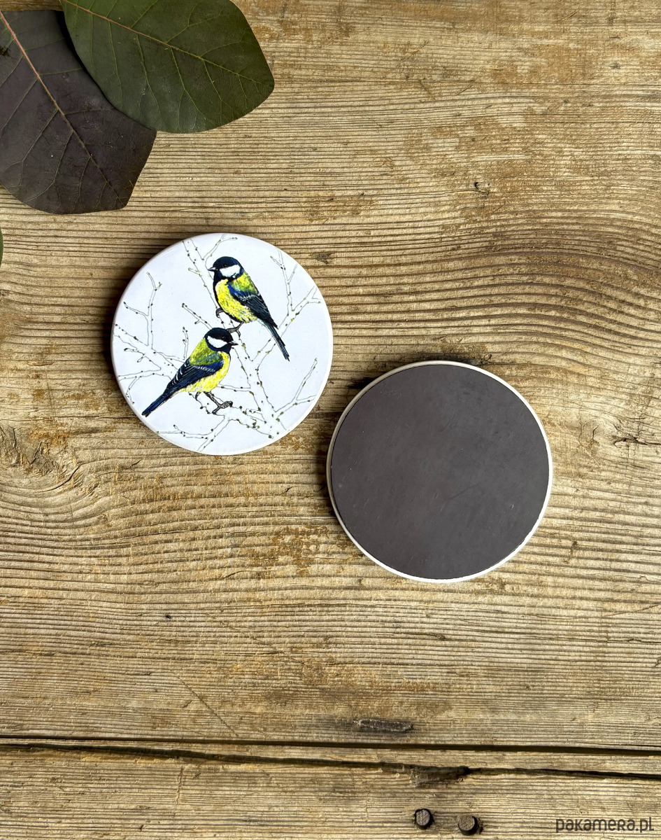 magnesy Sikorki bogatki- Magnes ceramiczny- Ilustracja- Ptaki 1