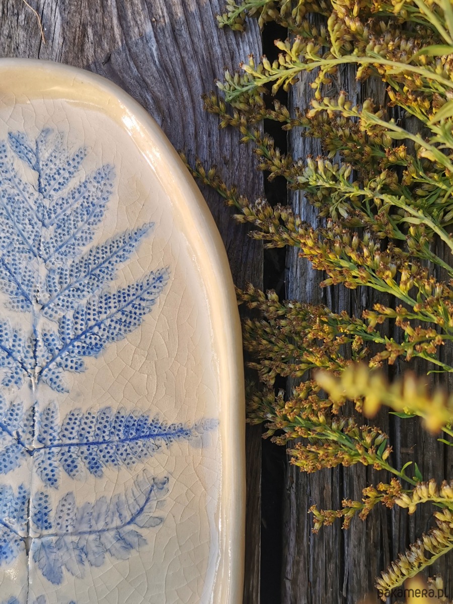 pojemniki na biżuterię Talerz Ceramiczny Paproć 2