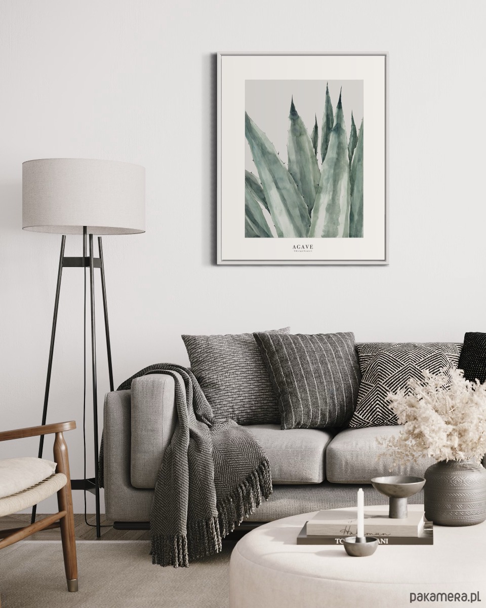 grafiki i ilustracje Agave / reprodukcja akwareli 2
