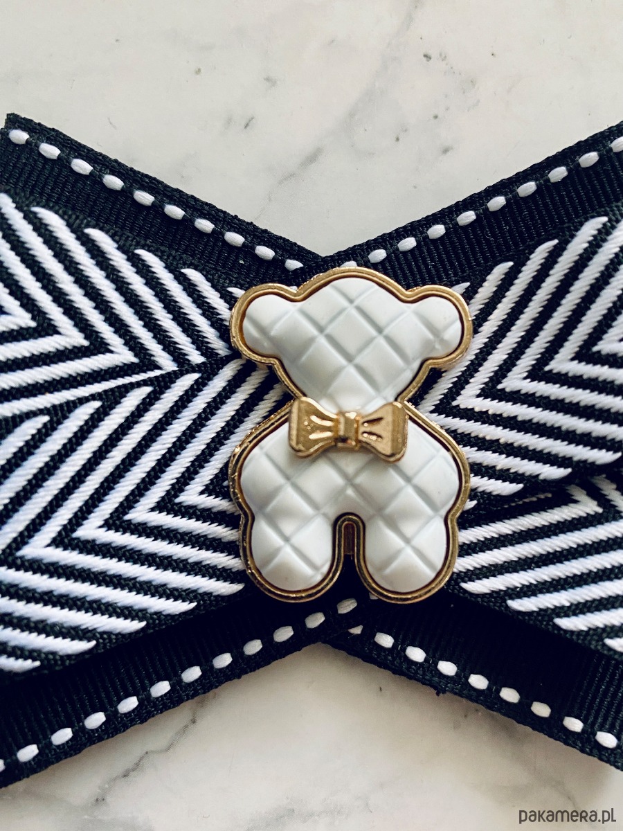 broszki Brosza z MISIEM Nowość 2