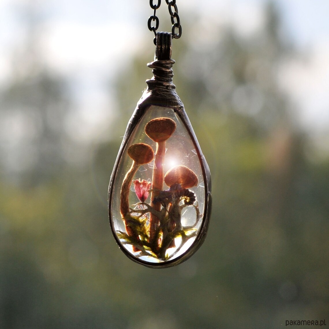 wisiory Las i Grzybki 4