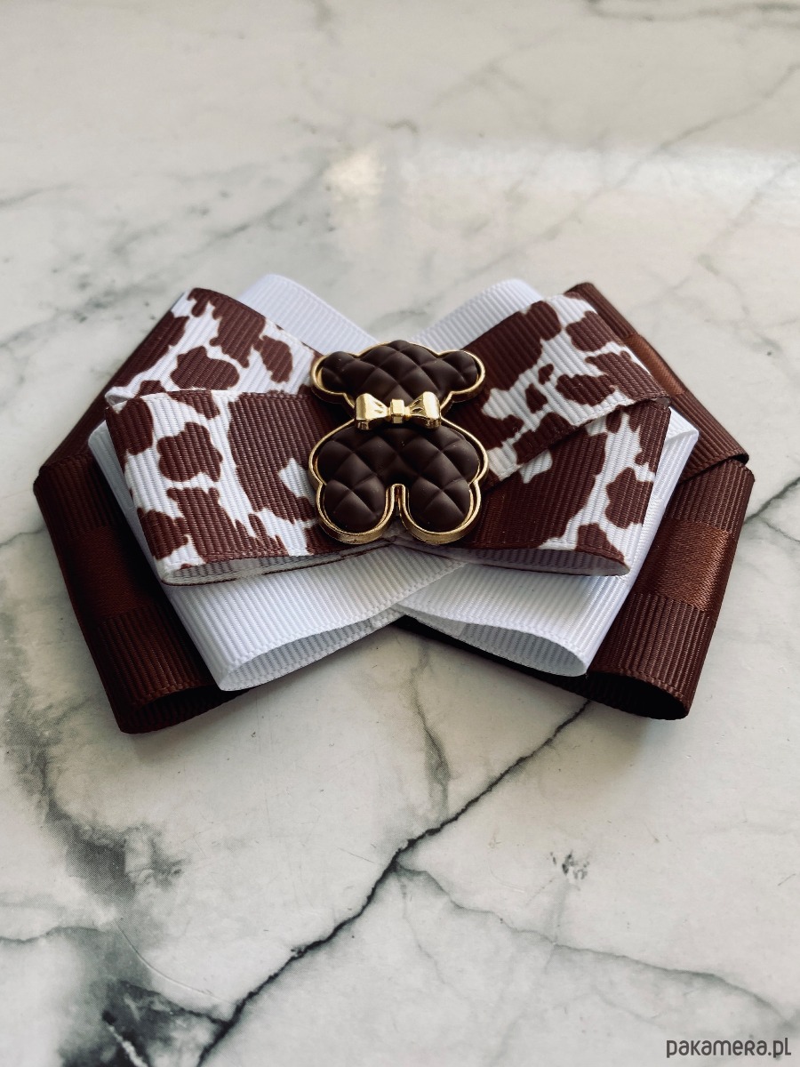 broszki Jesienna Brosza  z  czekoladowym MISIEM Nowość 3