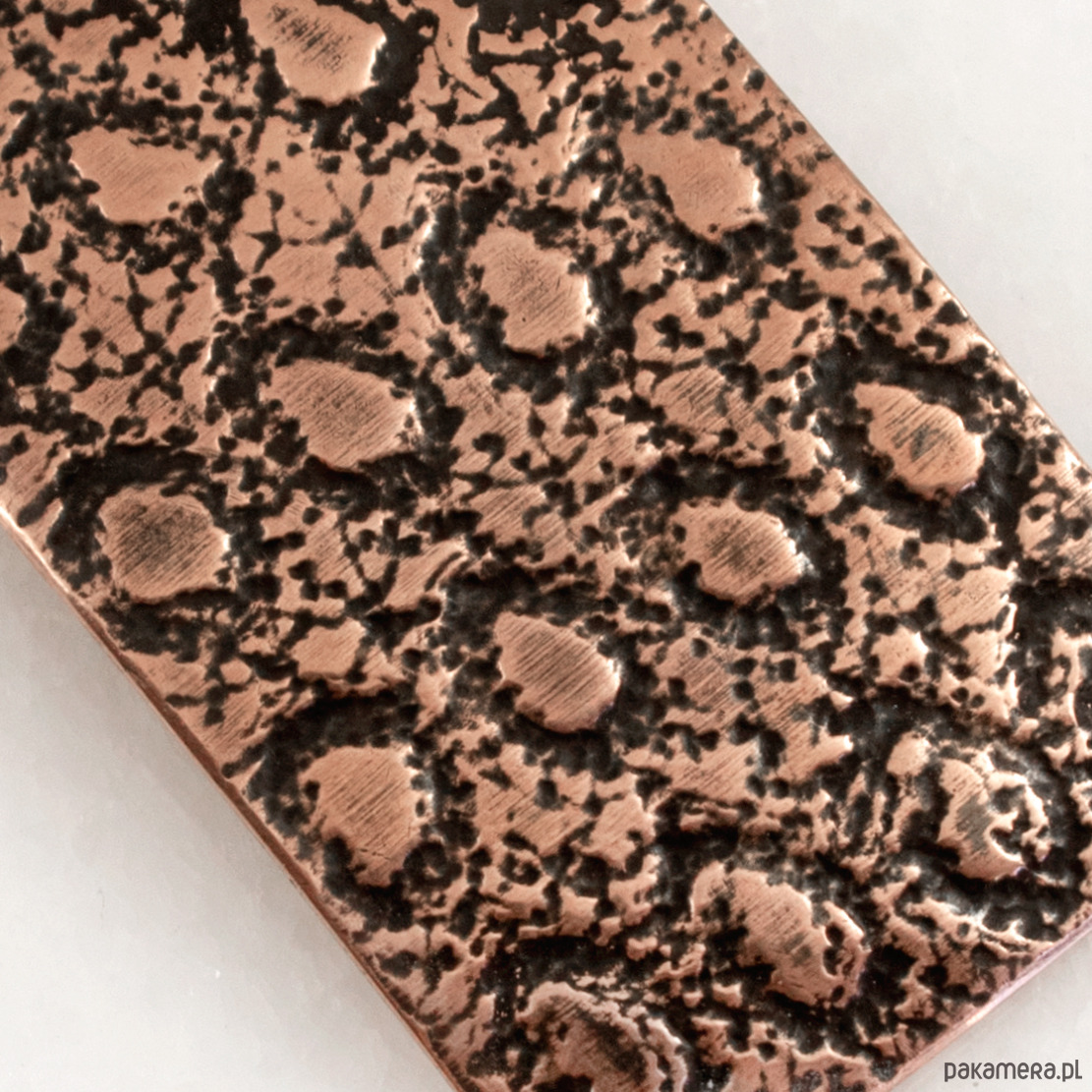 wisiory Salamandra - miedziany wisior - unikat 2