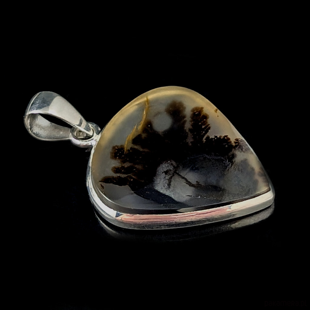 wisiory Jesienny roślinnik Montana agat 5