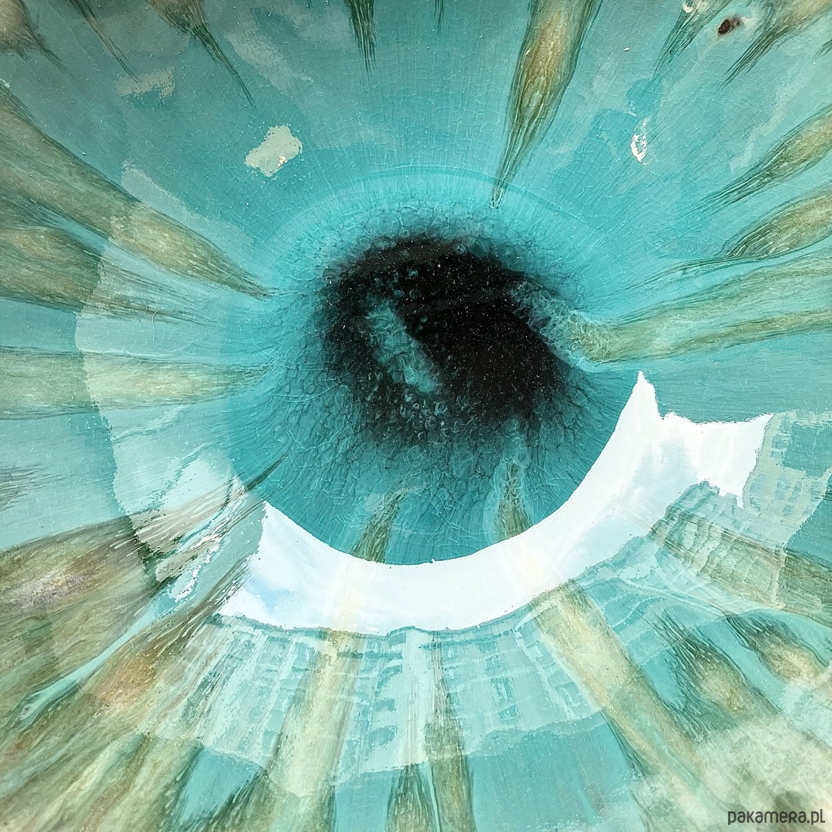 miski i misy Misa *Lizars* 24cm 1