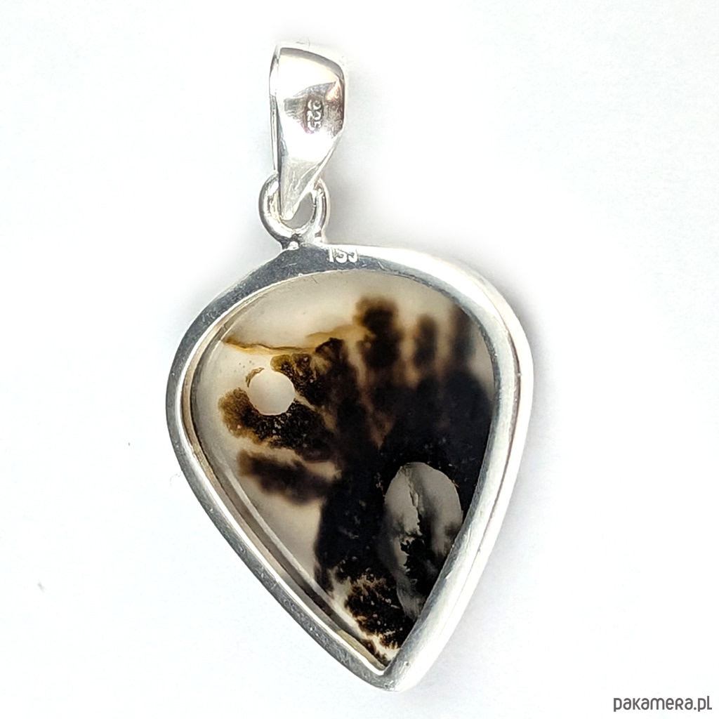 wisiory Jesienny roślinnik Montana agat 4