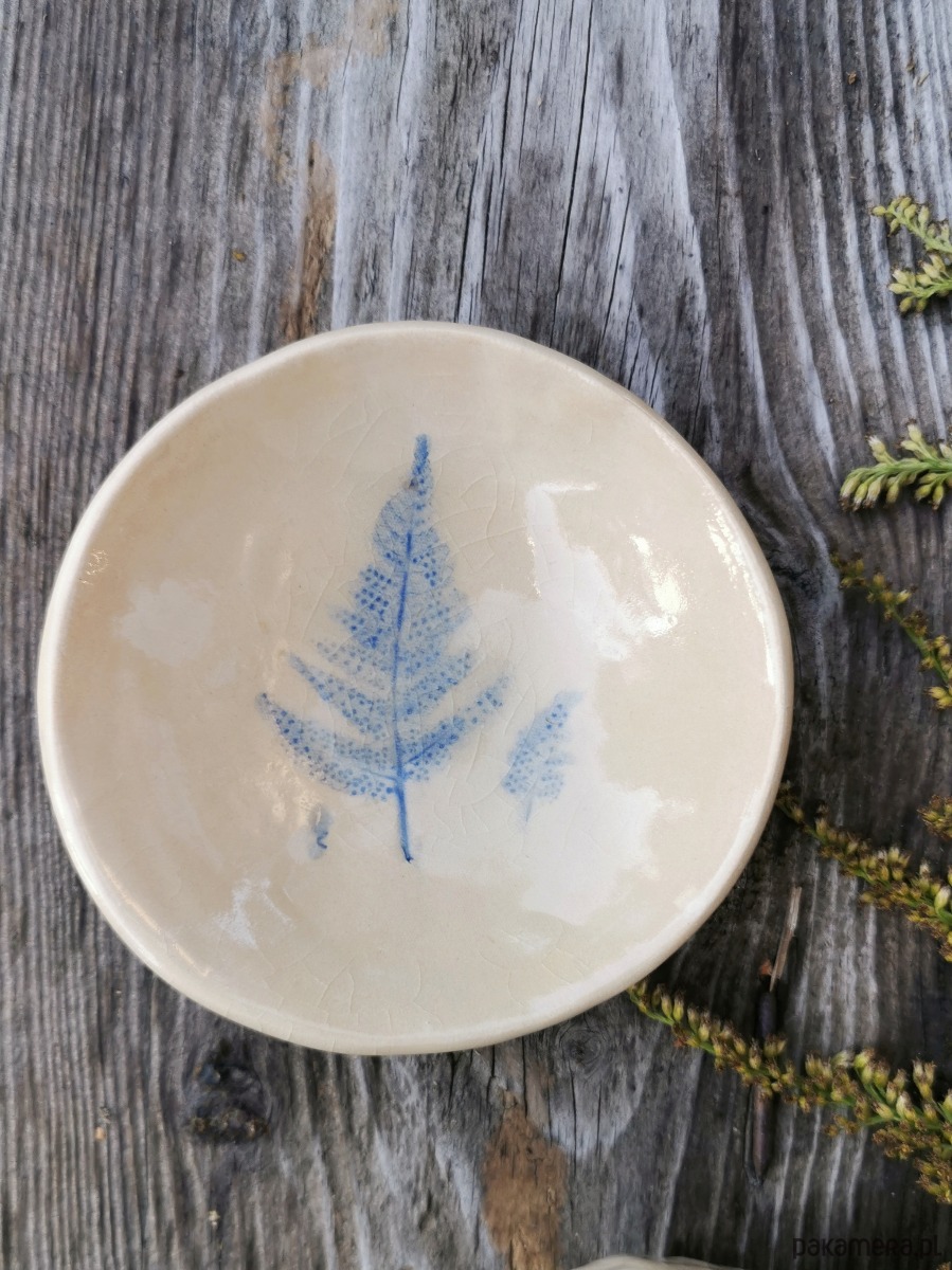 pojemniki na biżuterię Ceramiczny miseczka PAPROĆ 2