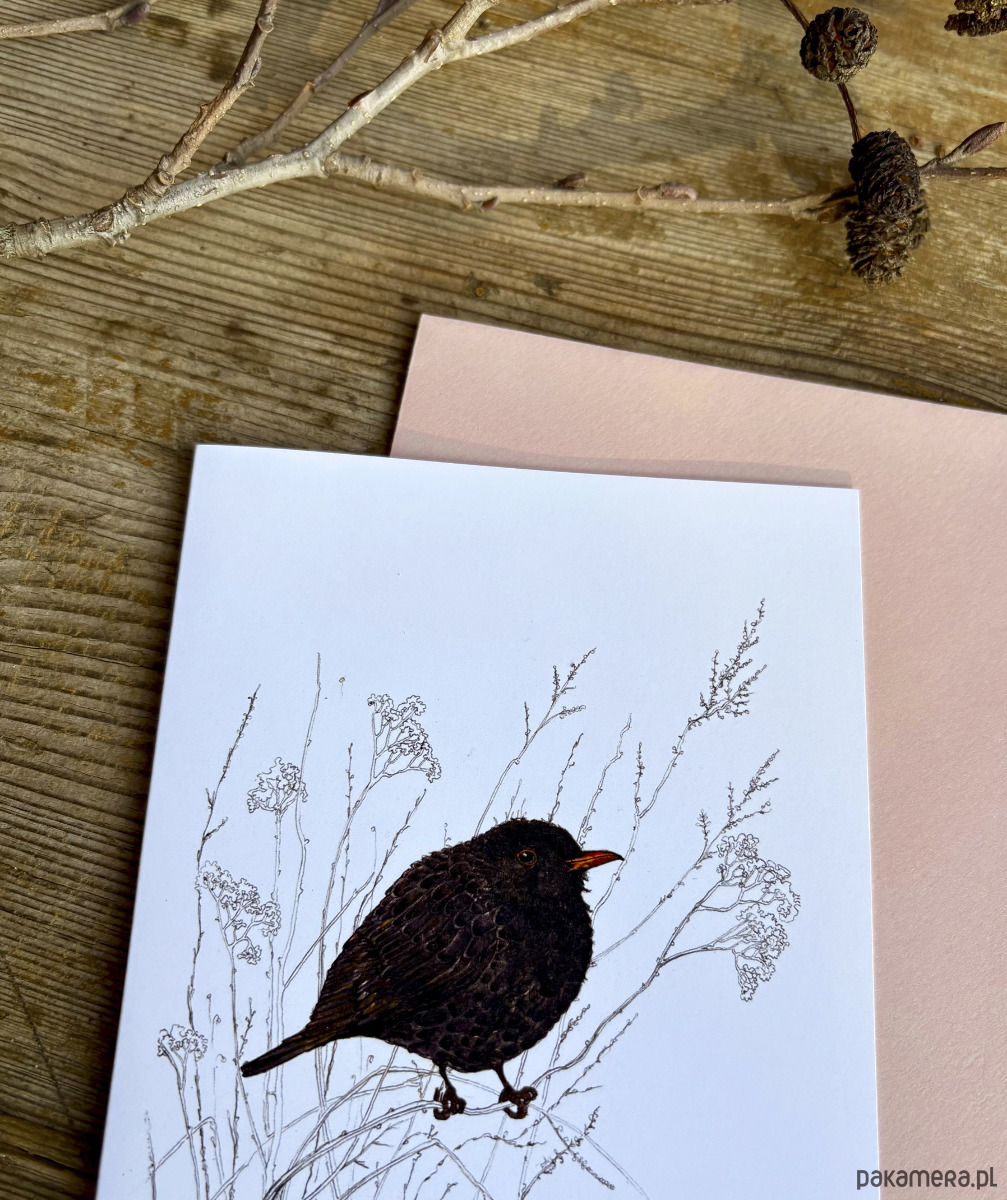 kartki okolicznościowe - wydruki Zimowy Kos- Kartka- Grafika- Ilustracja- Ptaki 2