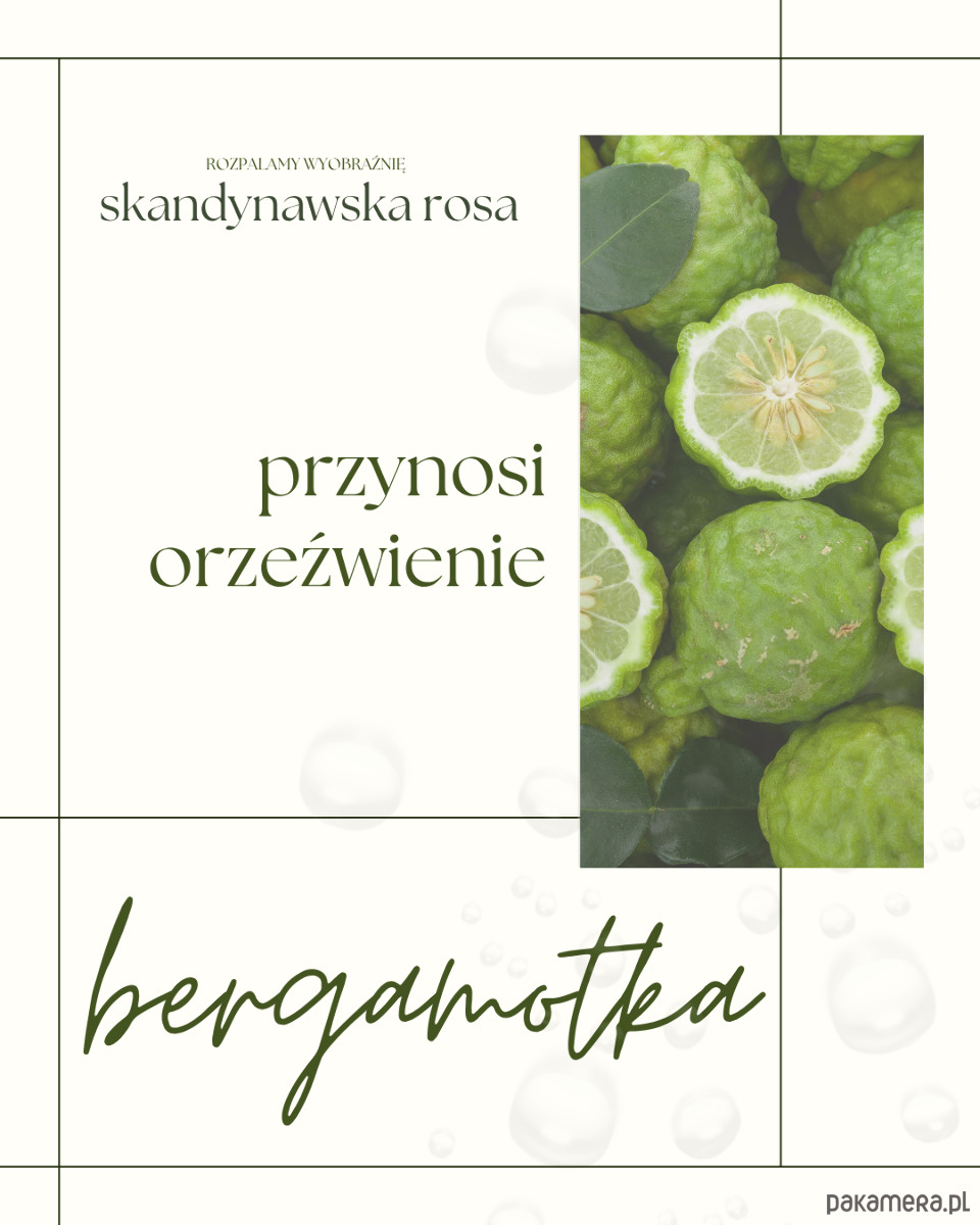 świeczniki i świece Skandynawska rosa 3