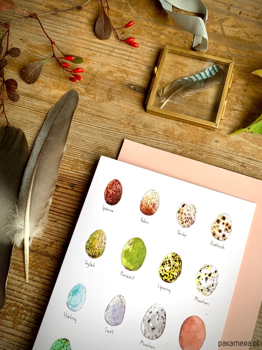 kartki okolicznościowe - wydruki Jajka- Eggs-  Kartka- Grafika- Ilustracja 1