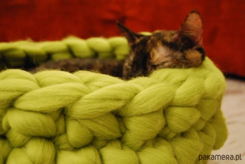 legowiska dla psów i kotów Legowisko dla kota, łóżko dla kota, meble dla kota, kocyk dla kota 2