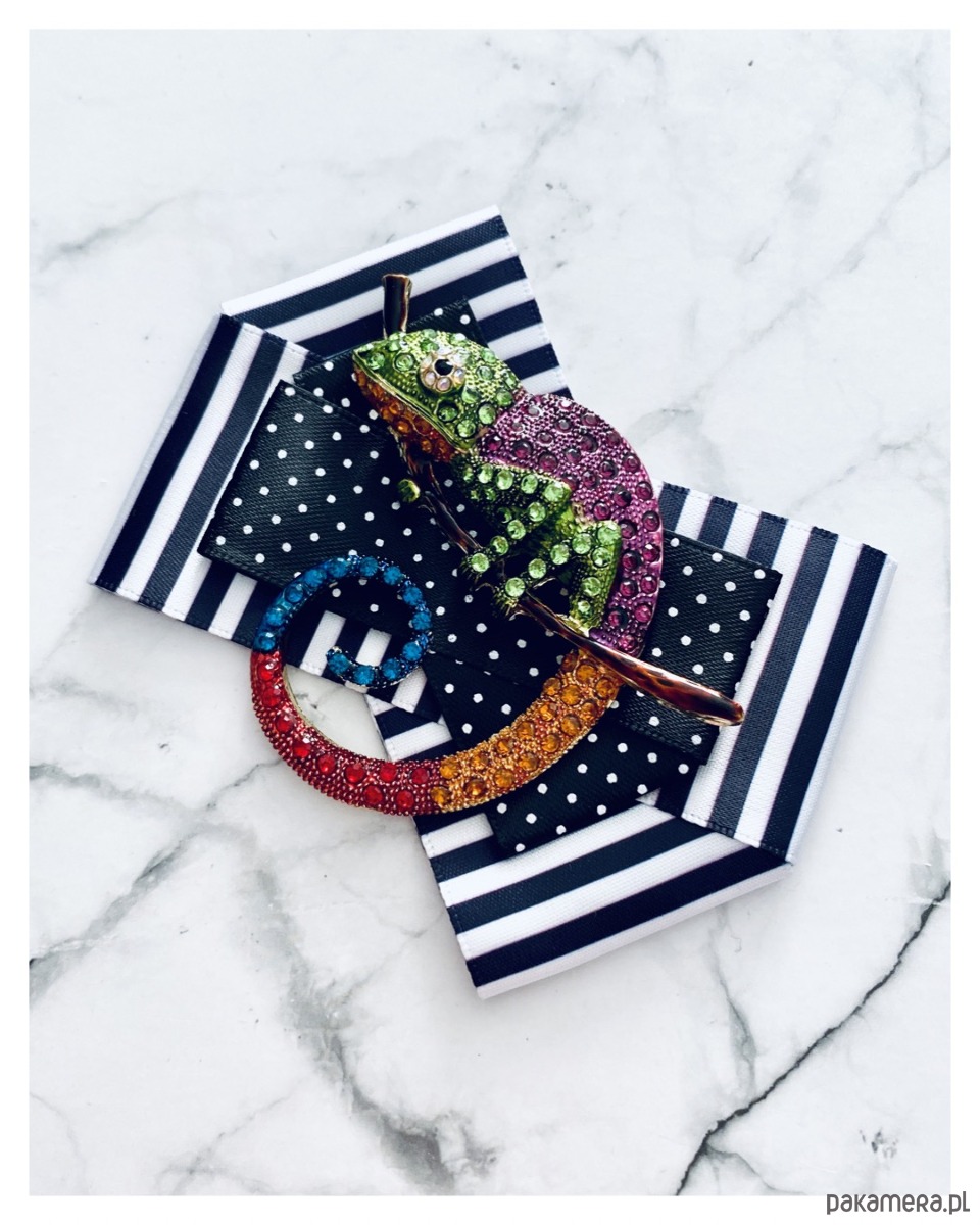 broszki Brosza  z Ogromnym  Kameleonem Kolekcja COLOR 2