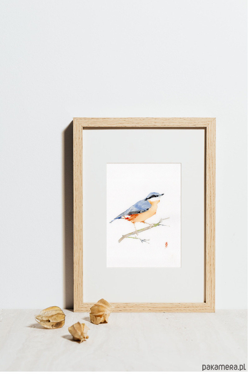 obrazy Oryginalna akwarela. Kowalik 1