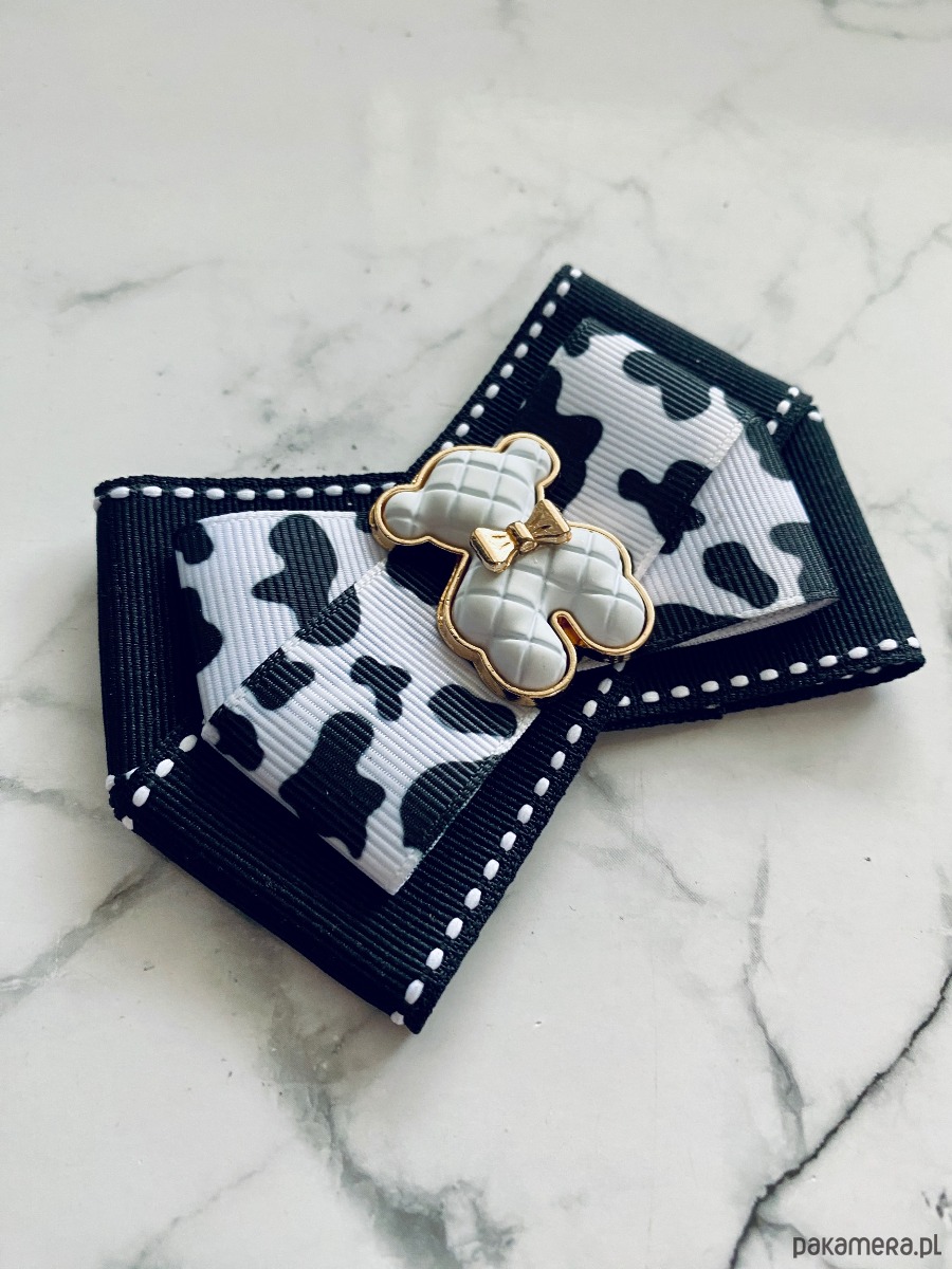 broszki Brosza z MISIEM Nowość 1