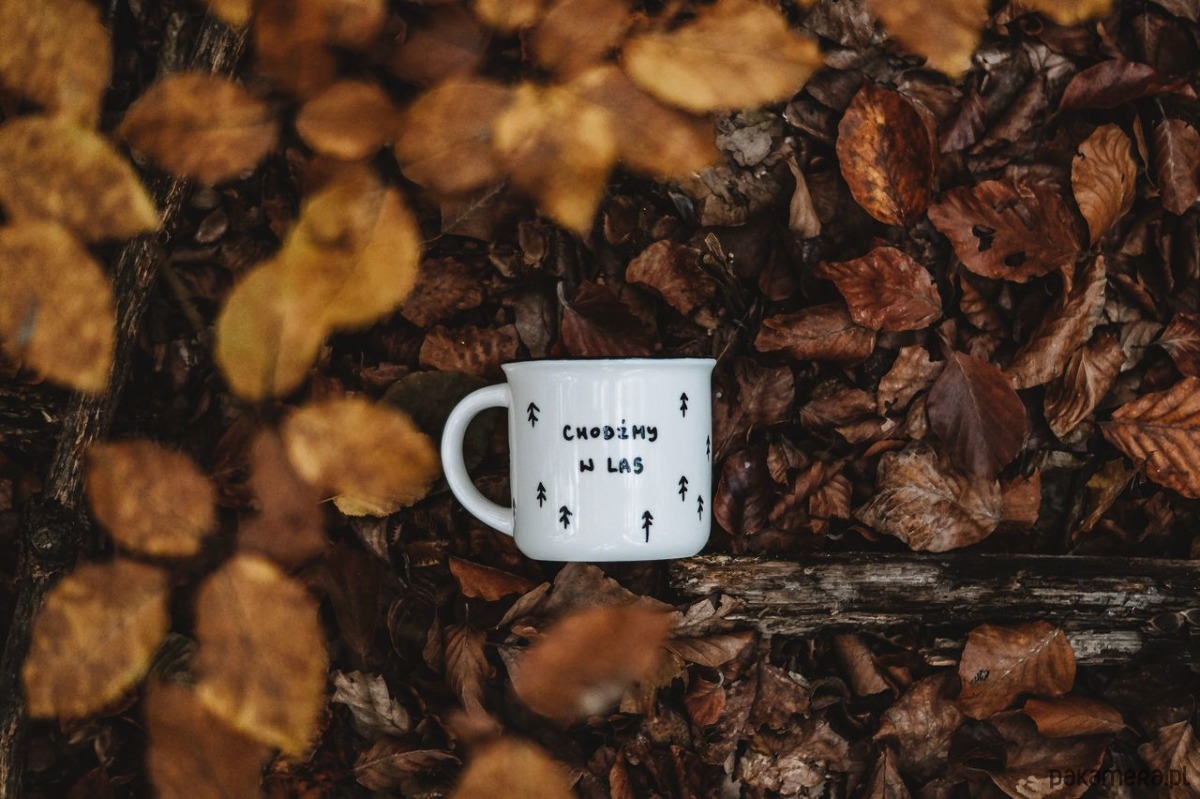 kubki Kubek Chodźmy w las! 5