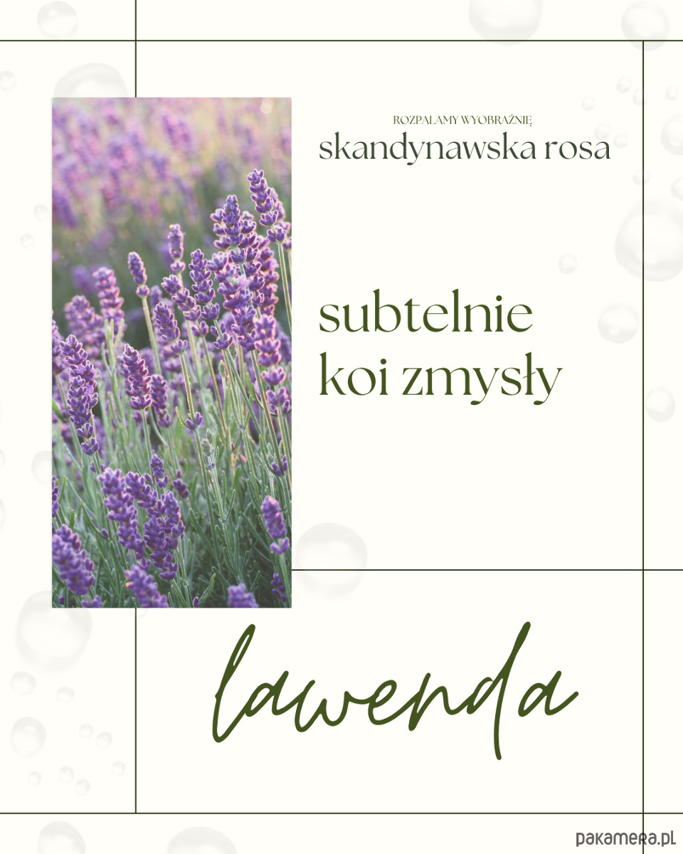 świeczniki i świece Skandynawska rosa 4