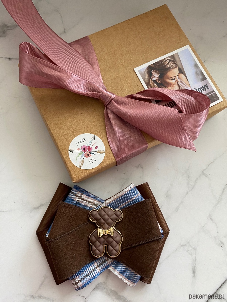 broszki Jesienna Brosza  z  czekoladowym MISIEM Nowość 4