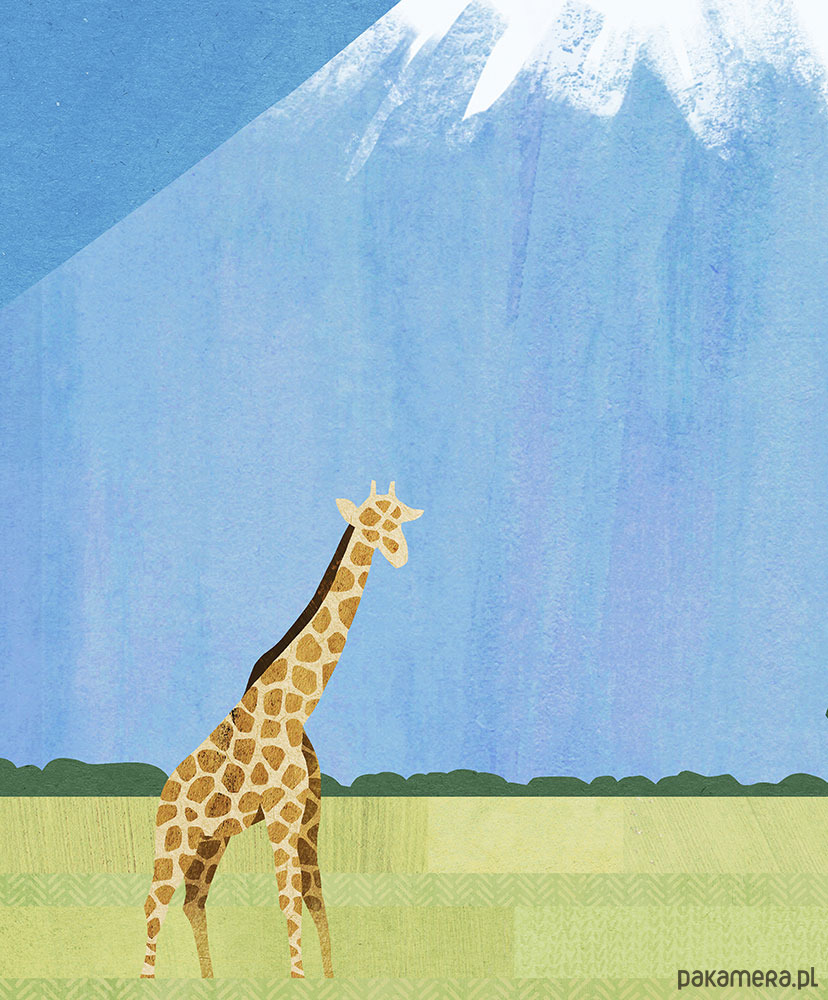 plakaty Kilimandżaro i safari - Tanzania - plakat fine art 2