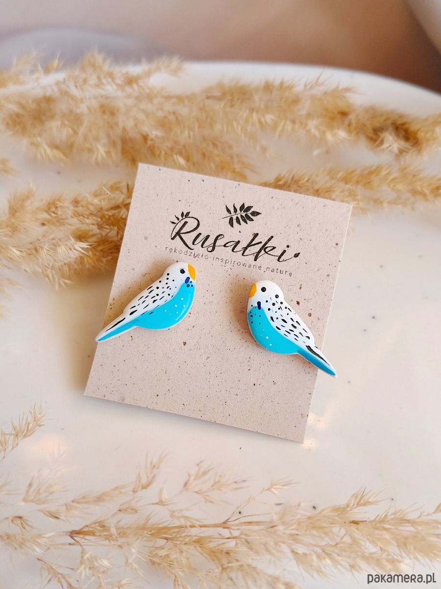 kolczyki z masy plastycznej Kolczyki papużki faliste z wizerunkiem ptaszka w kolorze biało niebieskim 1