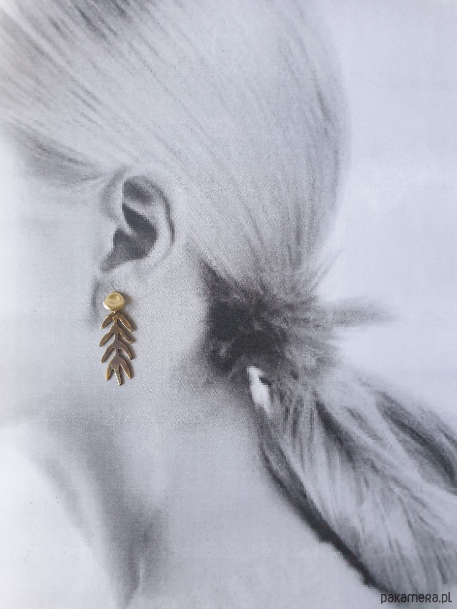 kolczyki z mosiądzu Kolczyki GARDEN OF EDEN  mosiądz, liście długie oksyda brązy 2
