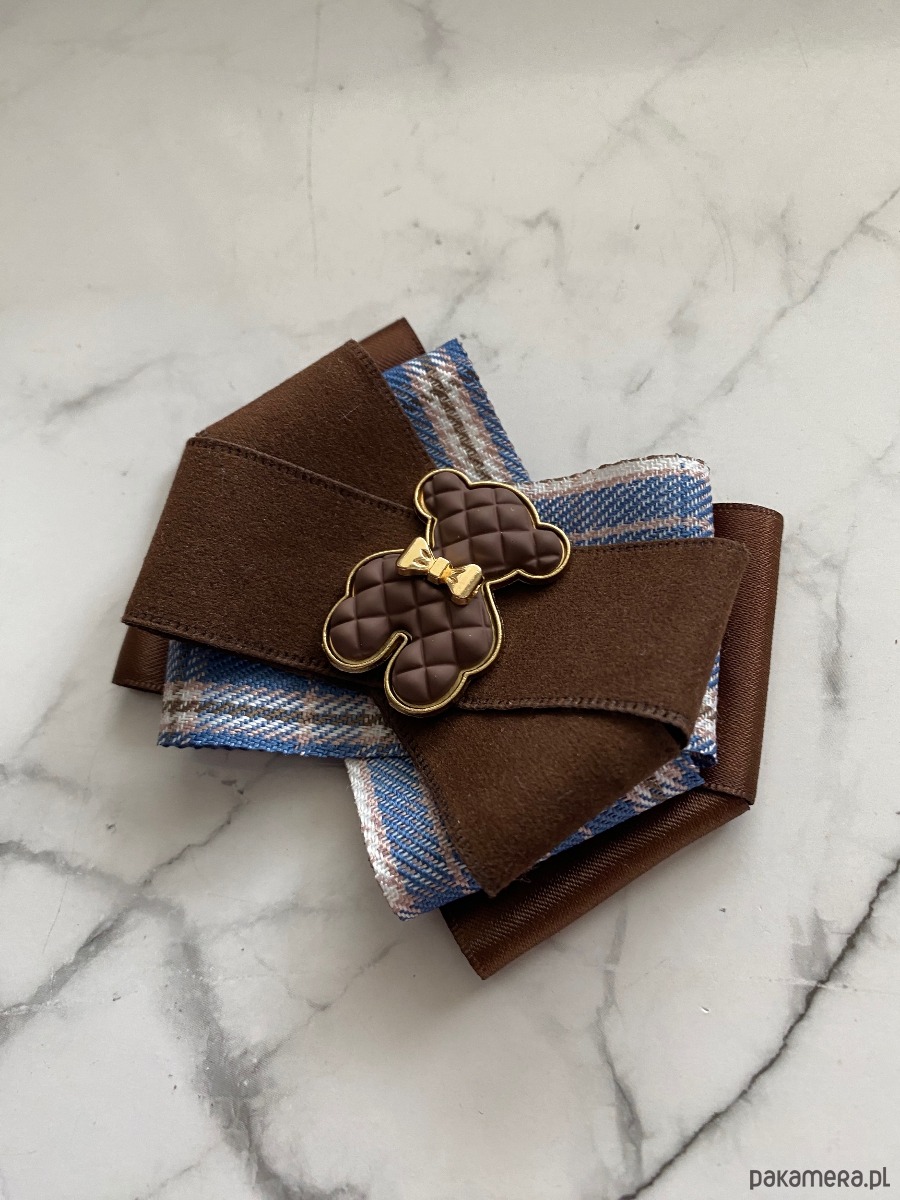 broszki Jesienna Brosza  z  czekoladowym MISIEM Nowość 2