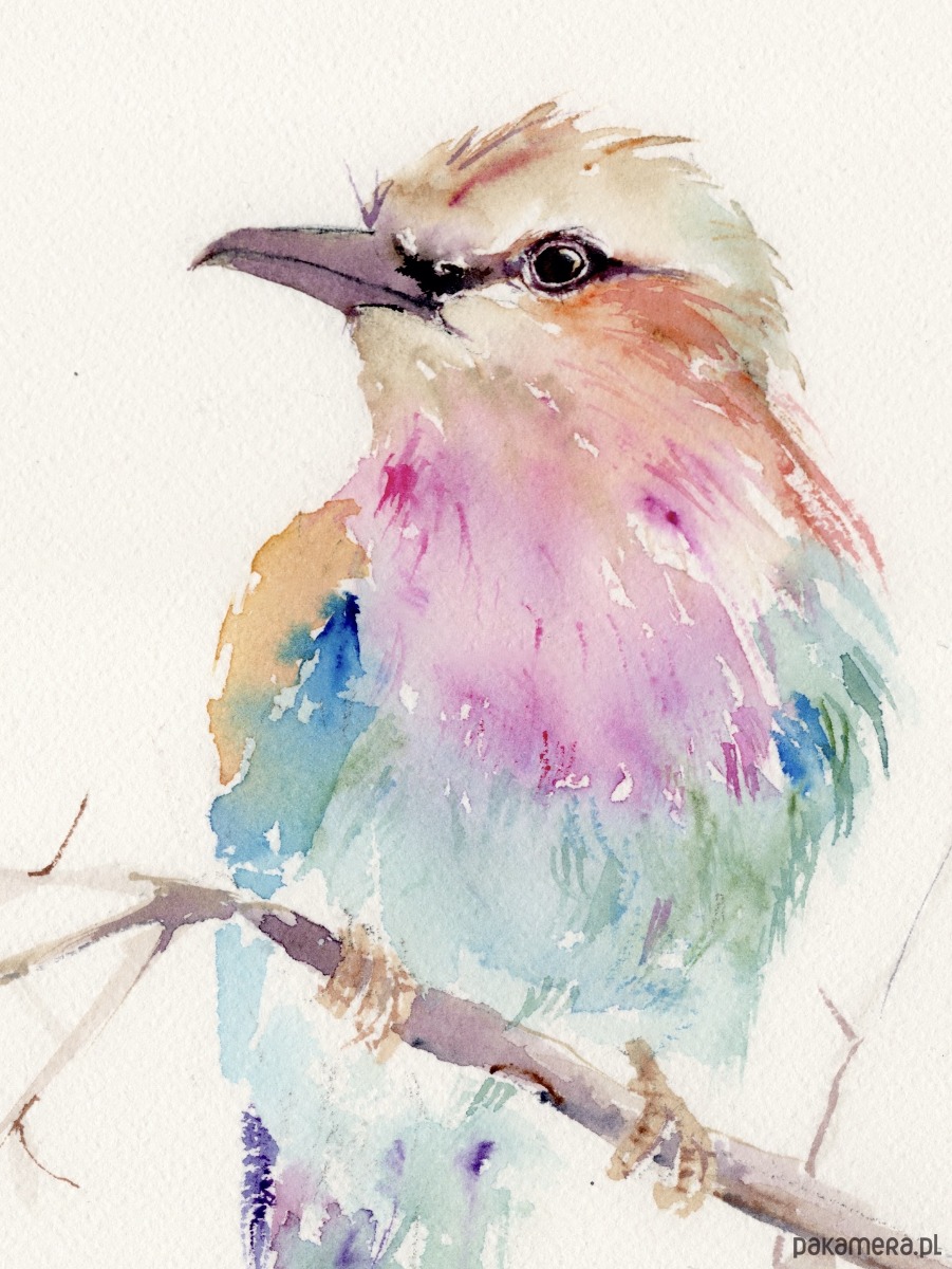 obrazy Oryginalna akwarela. Kraska 1