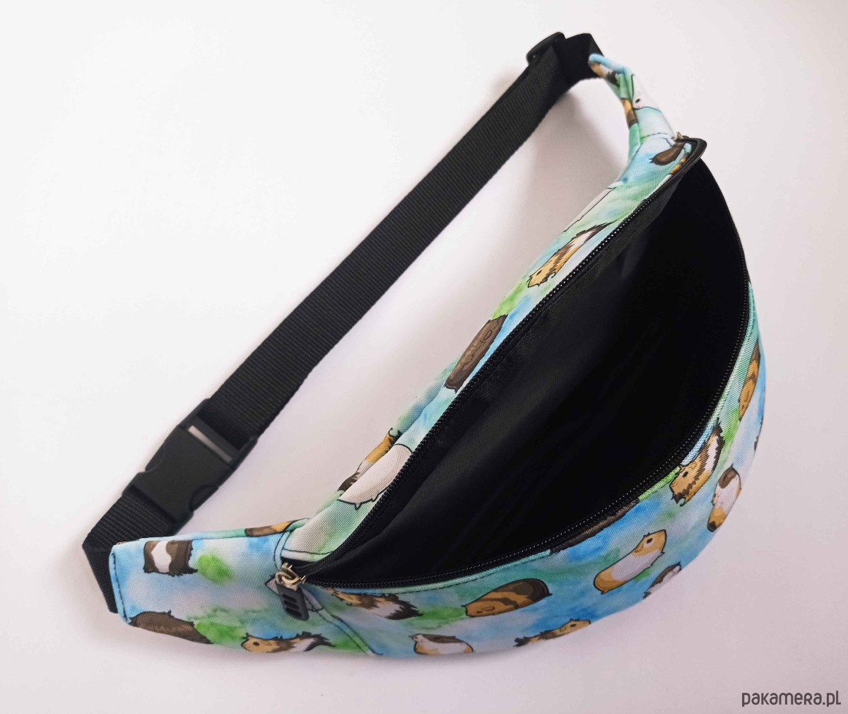 saszetka nerka Nerka świnki morskie na niebieskim tle 3