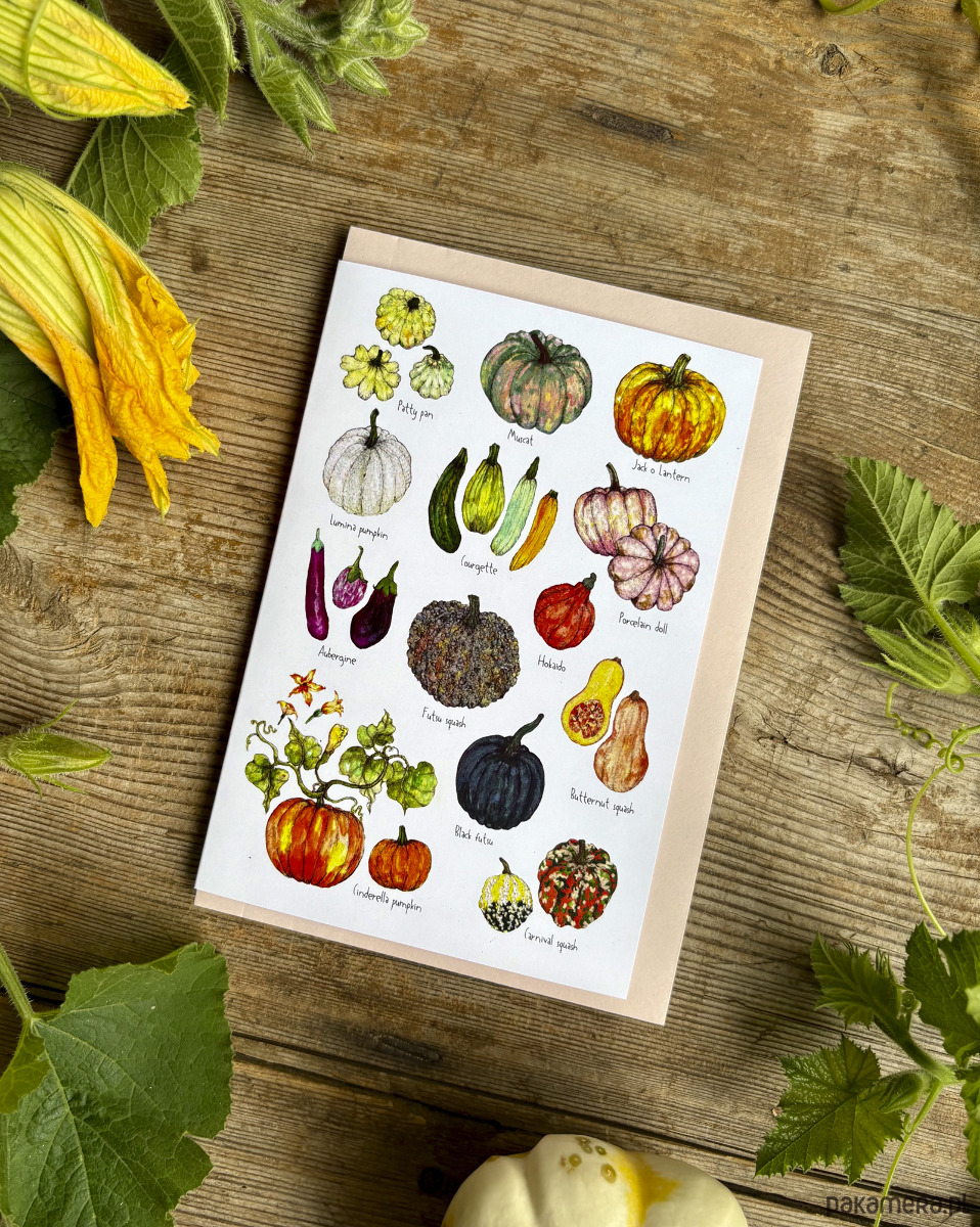 kartki okolicznościowe - wydruki Dynie- Bakłażany - Kartka- Grafika- Ilustracja 1