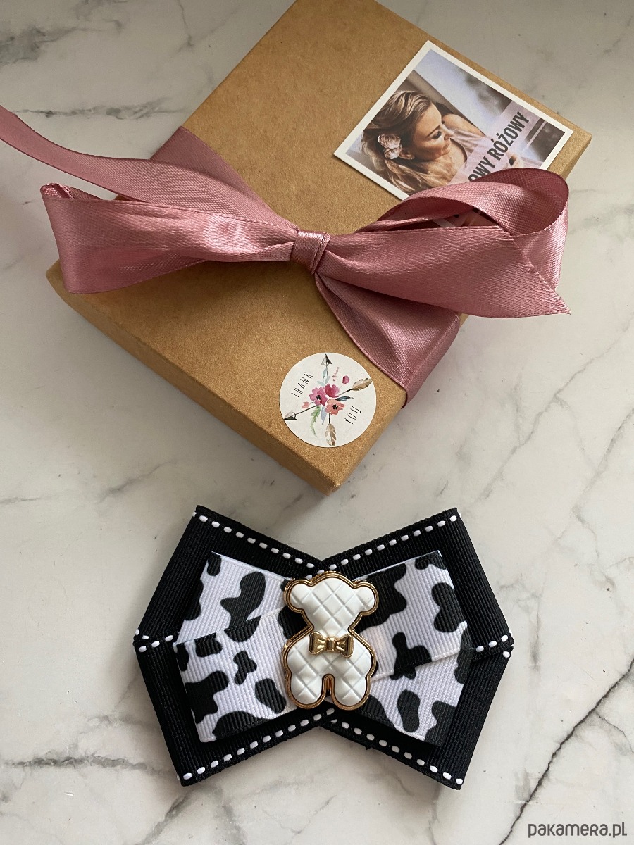 broszki Brosza z MISIEM Nowość 5