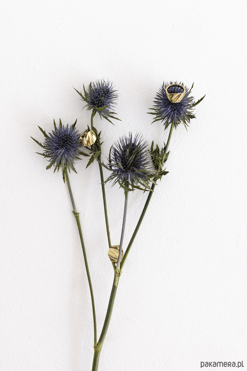 pierścionki - różne Pierścionek - sygnet PŁATKI No. 1 8