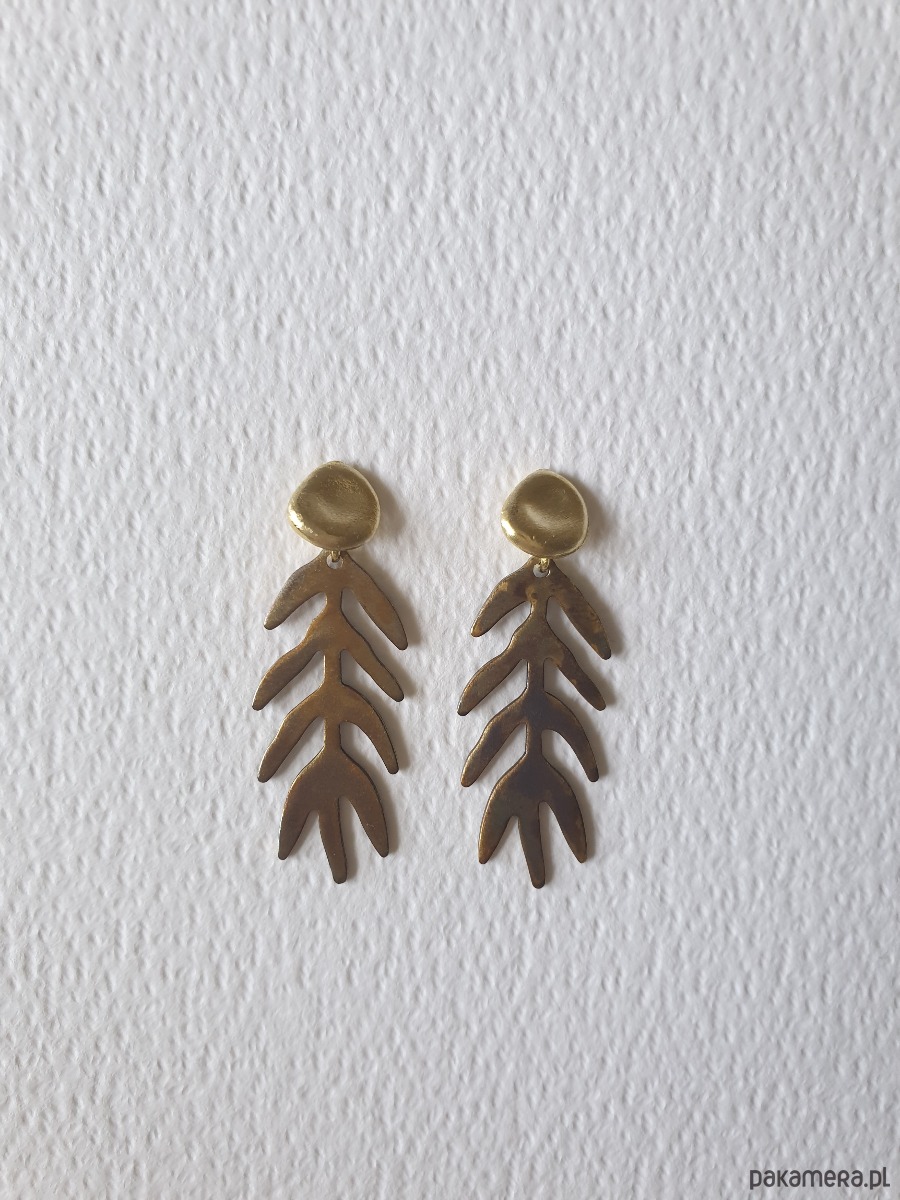kolczyki z mosiądzu Kolczyki GARDEN OF EDEN  mosiądz, liście długie oksyda brązy 5