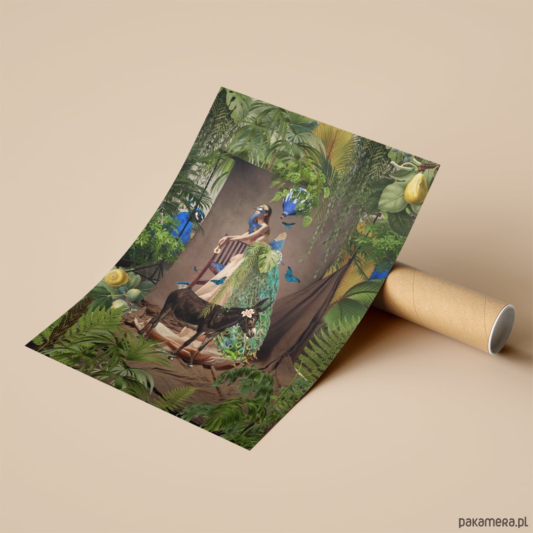 plakaty Plakat Feel the magic 4