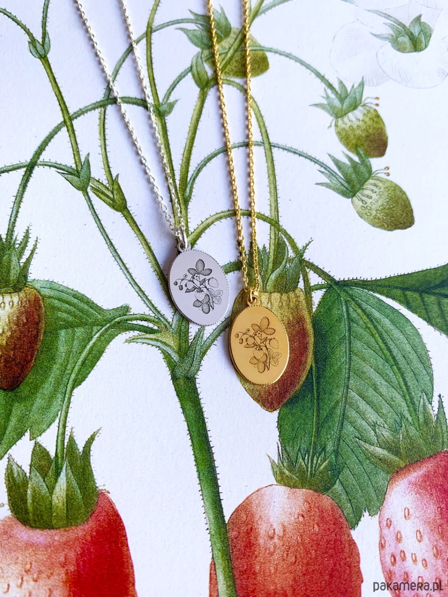 srebrne naszyjniki Truskawka- Fresa Botanica-Naszyjnik- Strawberries & Cherries 3