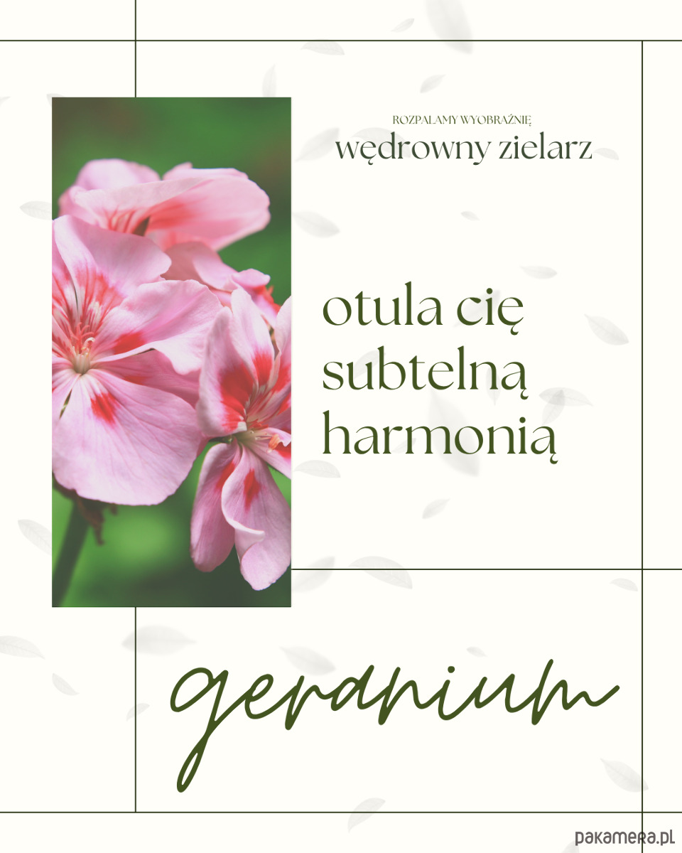 świeczniki i świece Wędrowny zielarz 5