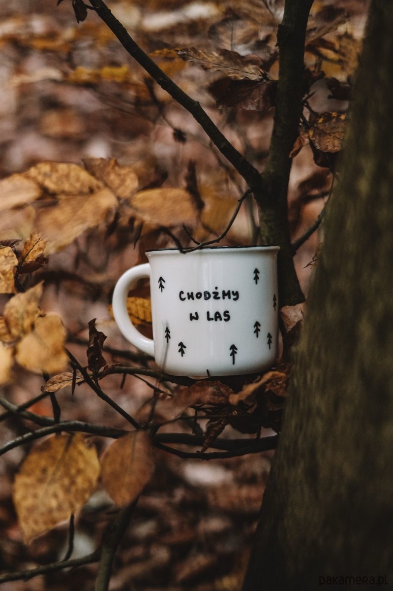 kubki Kubek Chodźmy w las! 4