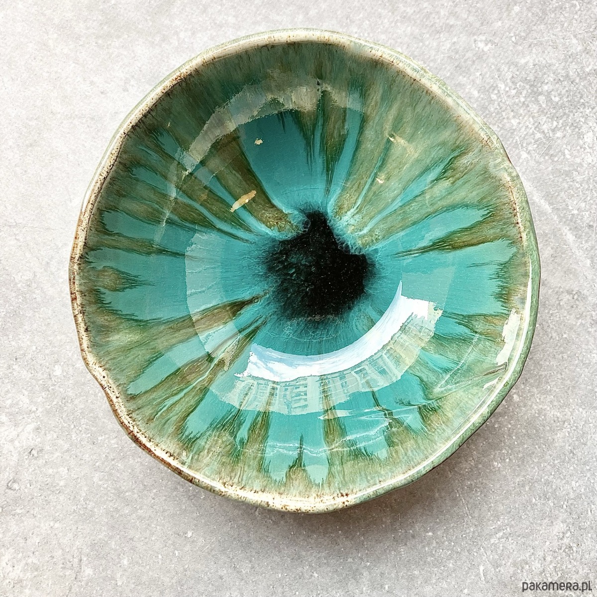 miski i misy Miska *Lizard* 20cm 1