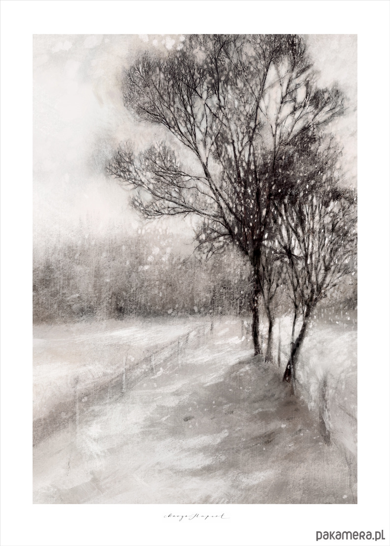 plakaty Pejzaż / Fine Art Print 2