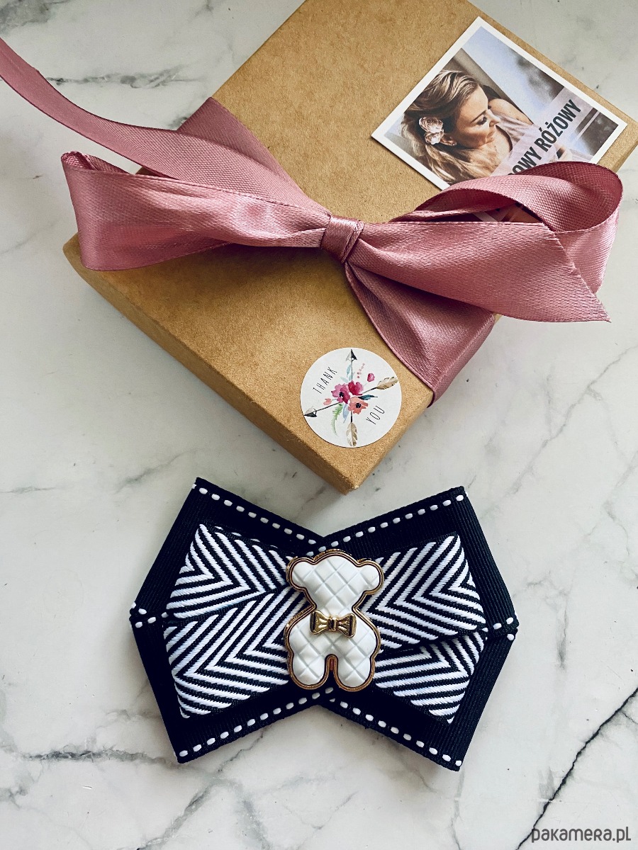 broszki Brosza z MISIEM Nowość 8