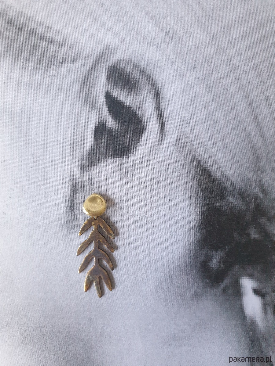 kolczyki z mosiądzu Kolczyki GARDEN OF EDEN  mosiądz, liście długie oksyda brązy 1