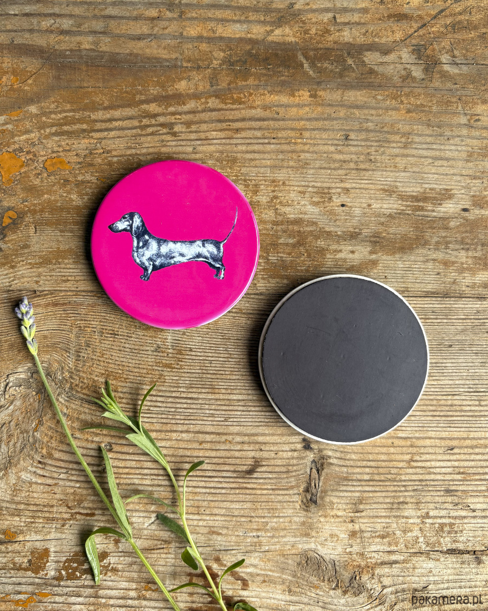 magnesy Jamniczek- Jamnik- Magnes ceramiczny- Ilustracja- Zwierzaki 1