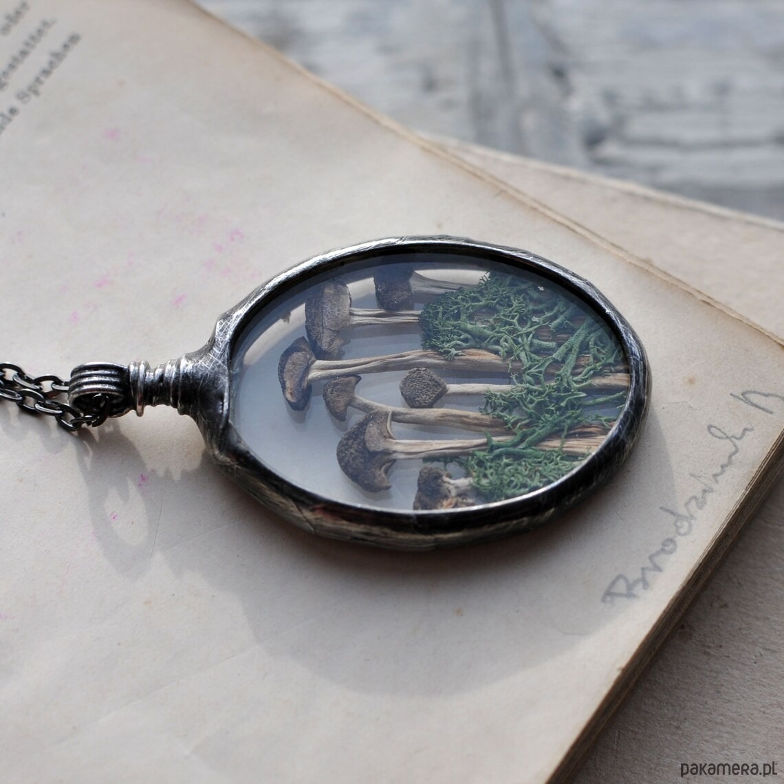 wisiory Las i Grzybki 3