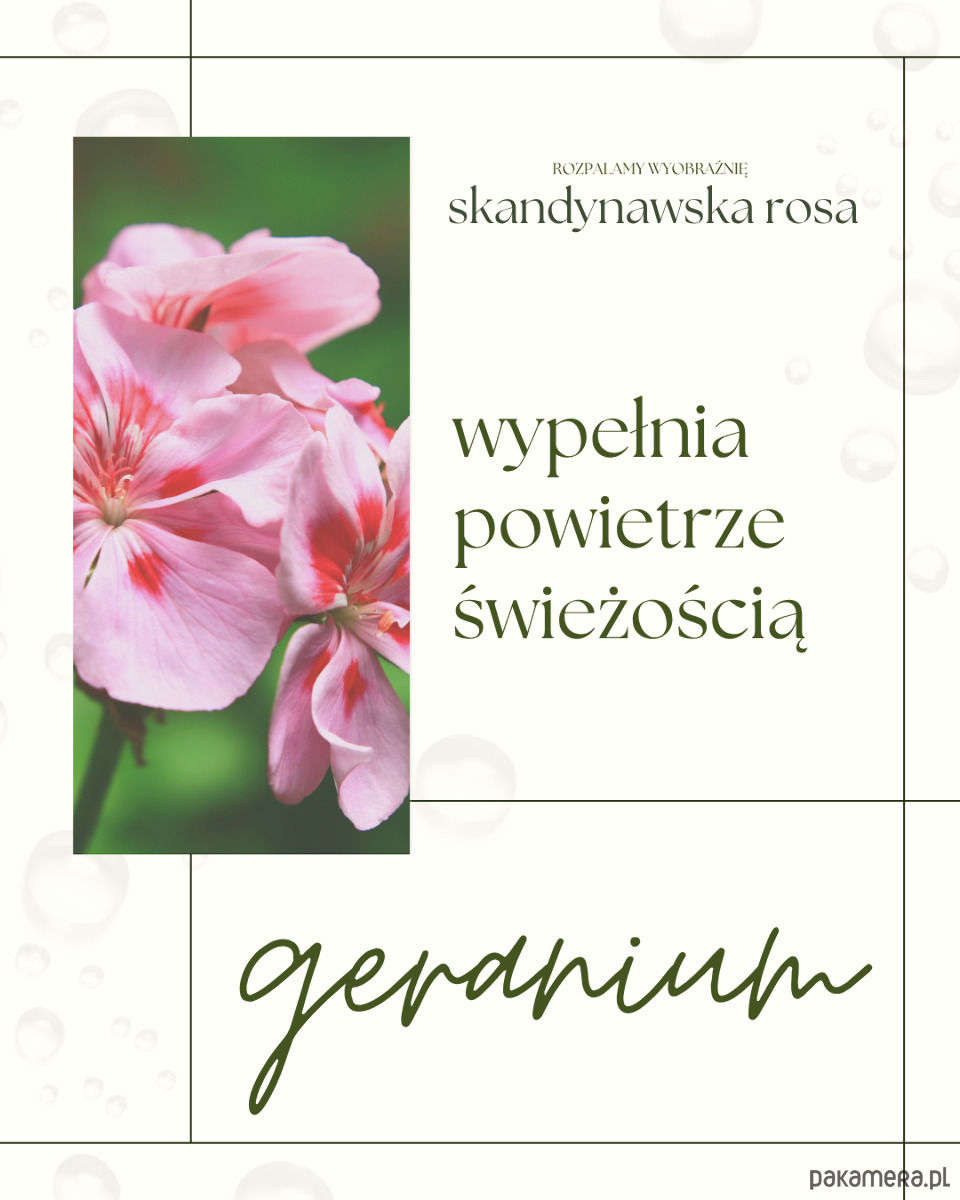 świeczniki i świece Skandynawska rosa 2