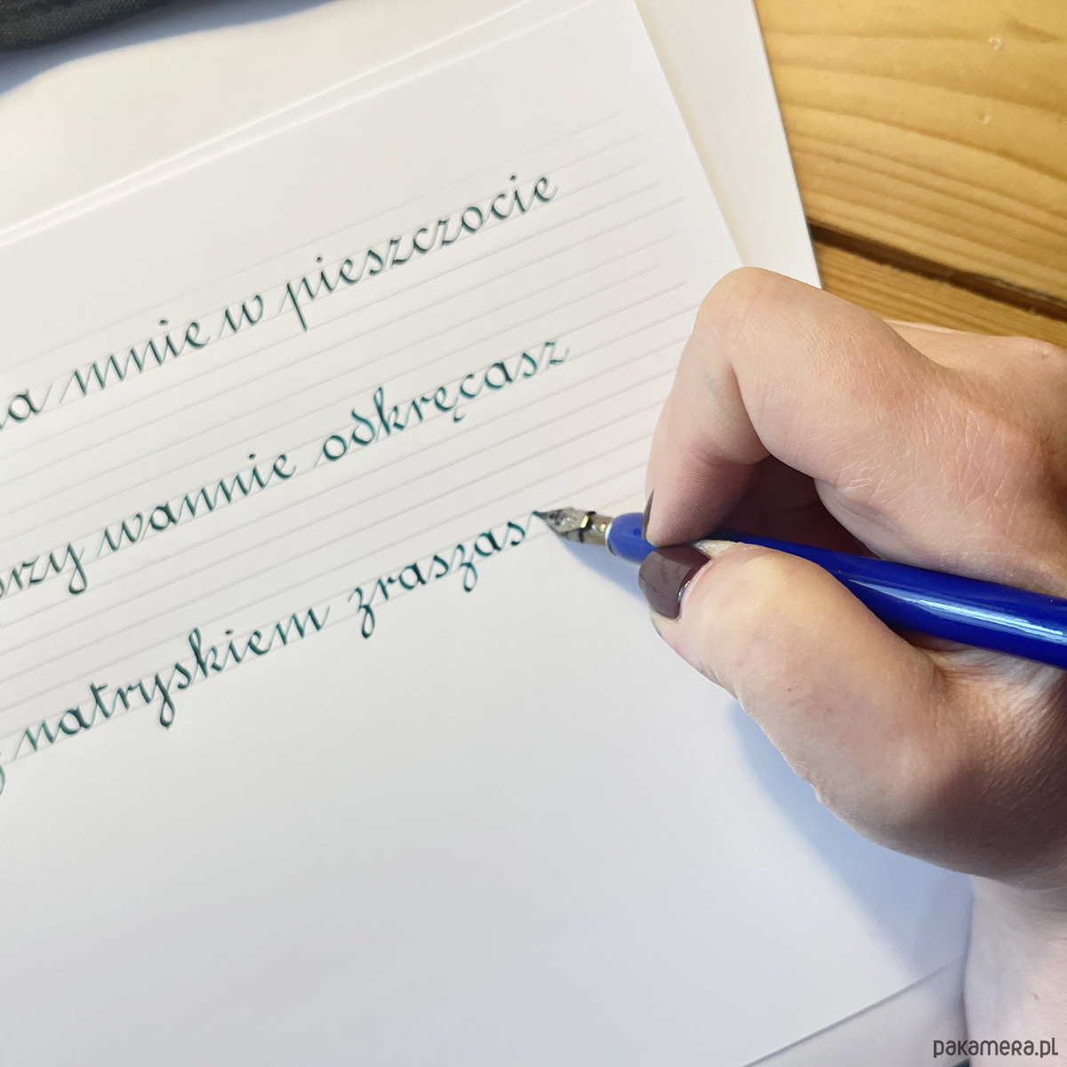 Warsztaty inne Pismo rondowe kurs semestralny 10 spotkań we czwartki 5