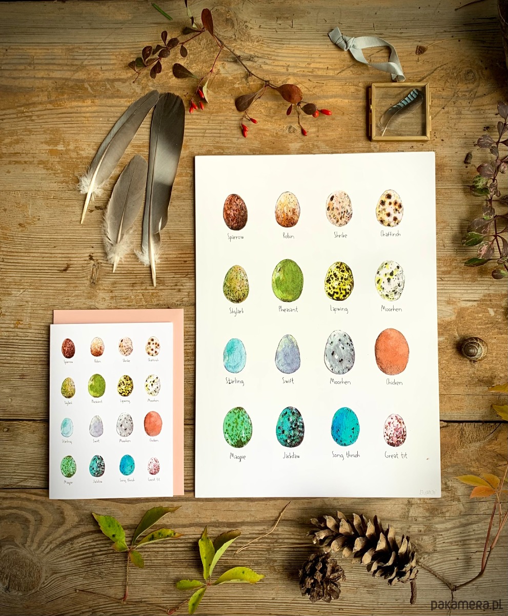 kartki okolicznościowe - wydruki Jajka- Eggs-  Kartka- Grafika- Ilustracja 2