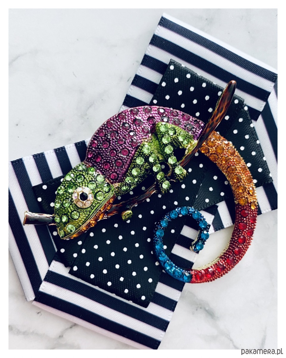 broszki Brosza  z Ogromnym  Kameleonem Kolekcja COLOR 4