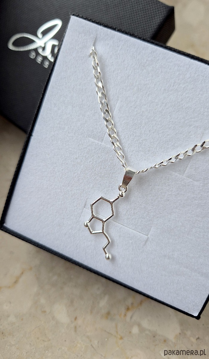 biżuteria męska Naszyjnik męski SEROTONINA - srebro 925 2
