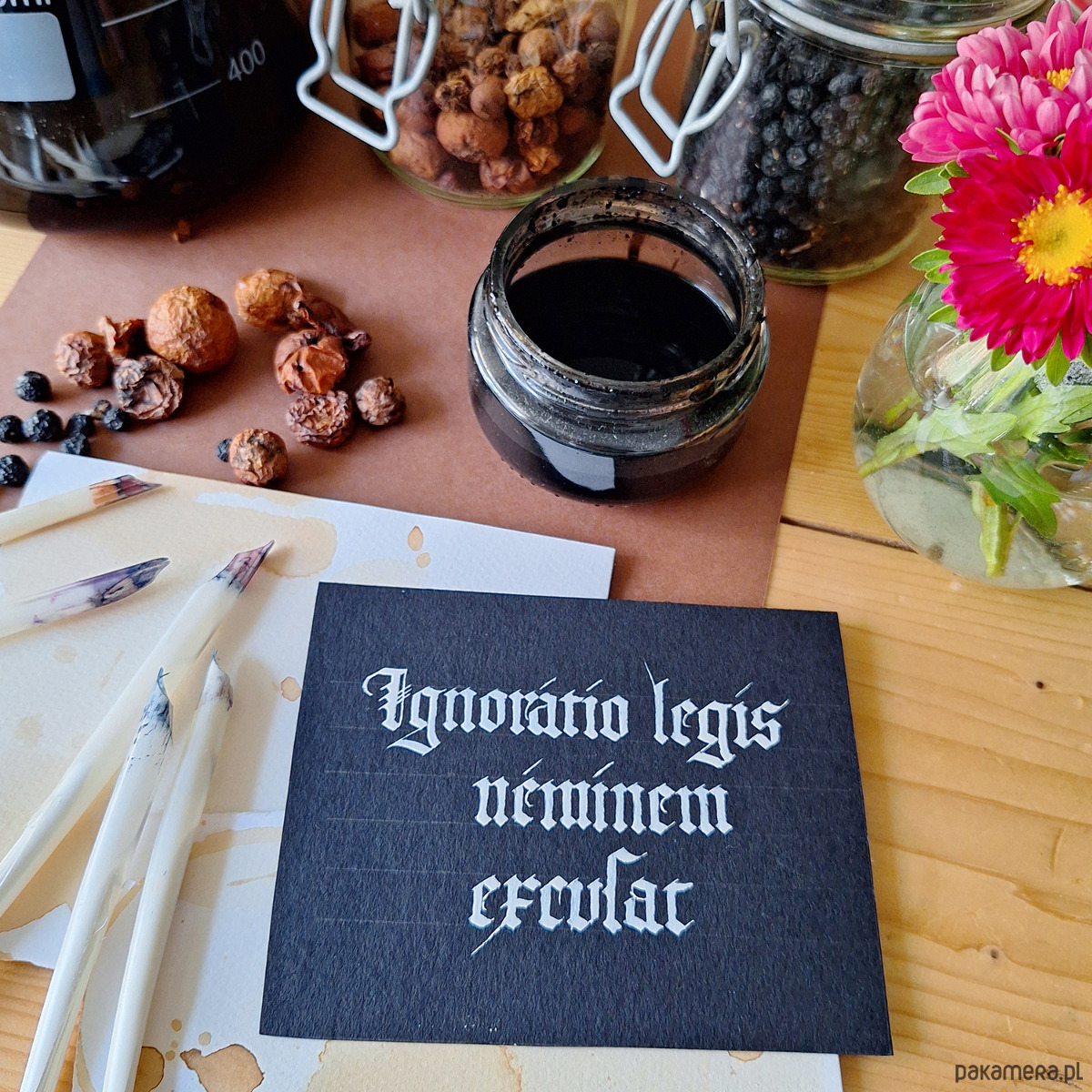 Warsztaty inne W średniowiecznym skryptorium: piękna i smukła tekstura gotycka 0