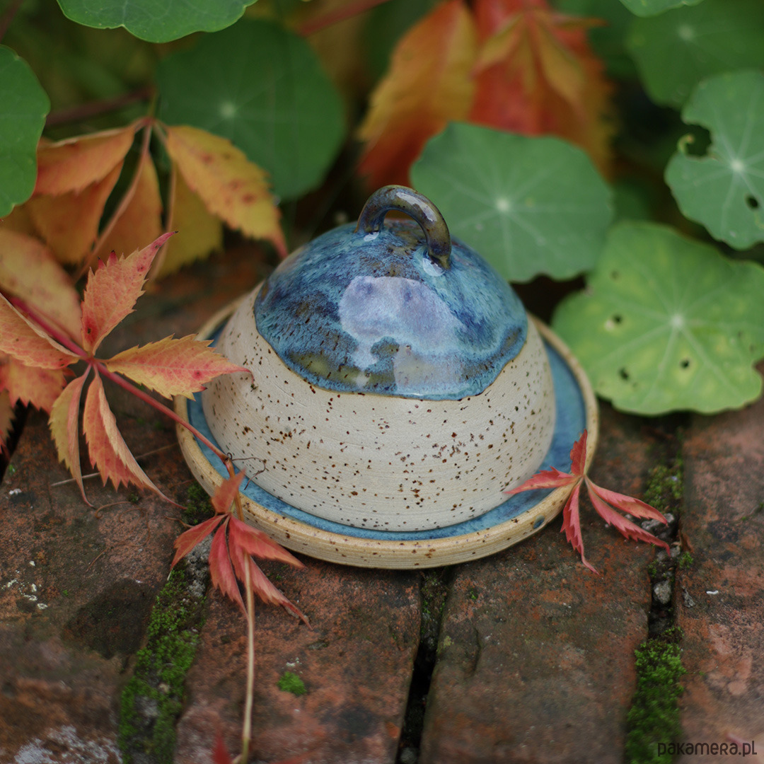 kuchnia - różne Maselniczka niebieskości 1